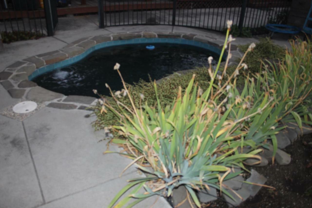 דירות סן חוזה Mark'S Poolside Retreat מראה חיצוני תמונה